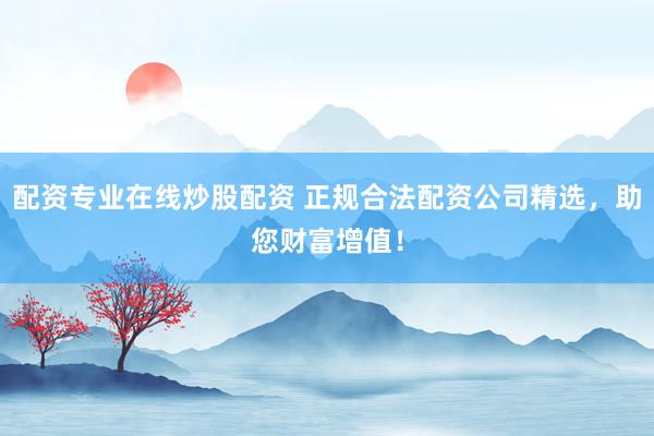 配资专业在线炒股配资 正规合法配资公司精选，助您财富增值！