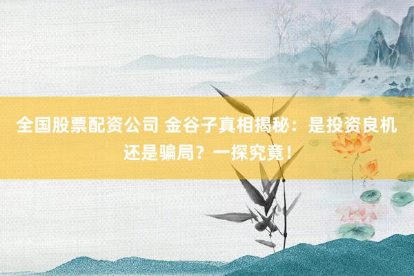 全国股票配资公司 金谷子真相揭秘：是投资良机还是骗局？一探究竟！