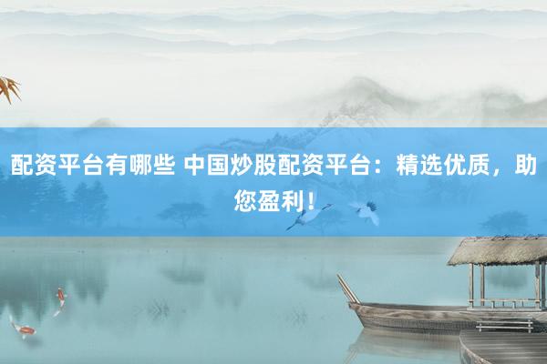 配资平台有哪些 中国炒股配资平台：精选优质，助您盈利！
