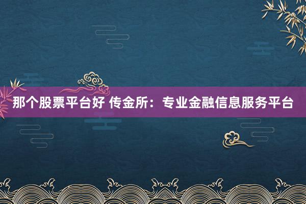 那个股票平台好 传金所：专业金融信息服务平台