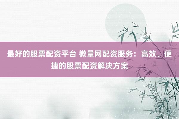 最好的股票配资平台 微量网配资服务：高效、便捷的股票配资解决方案