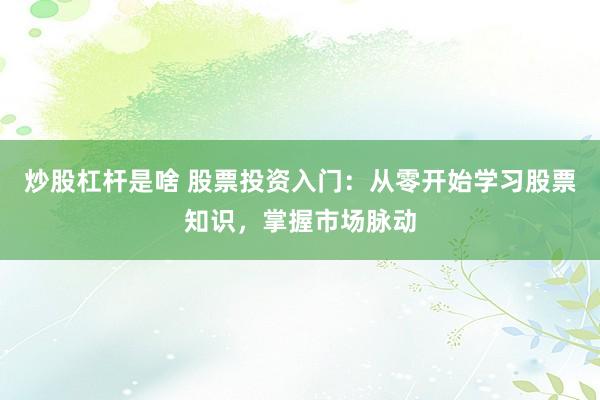 炒股杠杆是啥 股票投资入门：从零开始学习股票知识，掌握市场脉动
