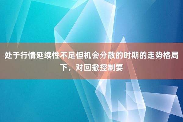 处于行情延续性不足但机会分散的时期的走势格局下，对回撤控制要