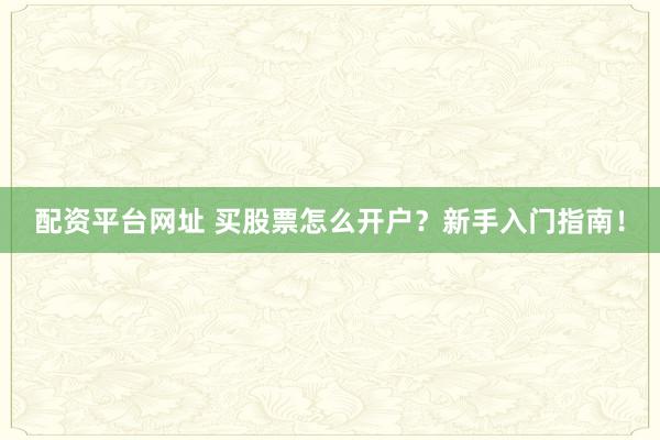 配资平台网址 买股票怎么开户？新手入门指南！